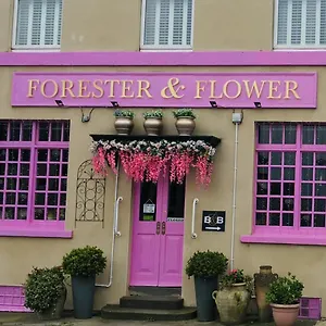 4* Gasthuis The Forester And Flower